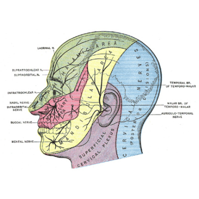 tengo_dolor_orofacial